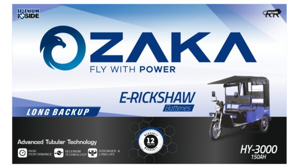 e-rikshaw battery